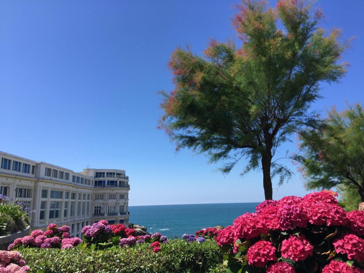 Charmant T2 Biarritz Centre Ngoại thất bức ảnh