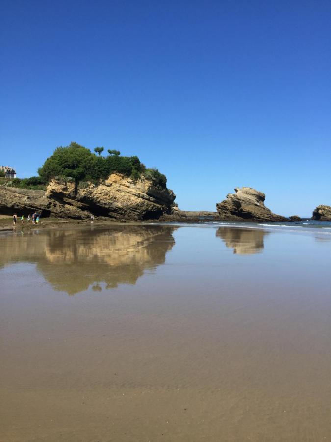 Charmant T2 Biarritz Centre Ngoại thất bức ảnh